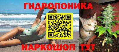 не бодяженный Камышлов