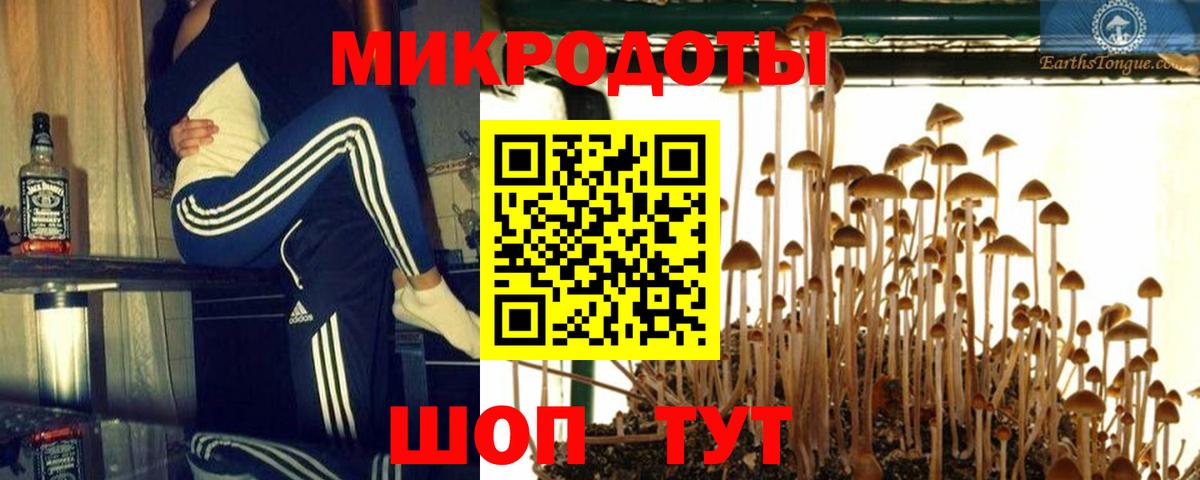 Гусиноозёрск  Галлюциногенные грибы мухоморы  Вход с VPN 